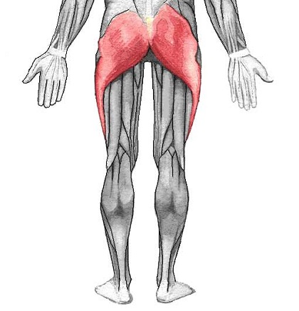 gluteal-muscle-and-ITB